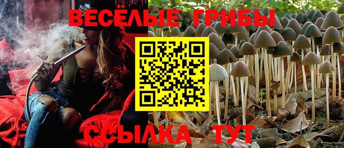 Галлюциногенные грибы ЛСД Богородск